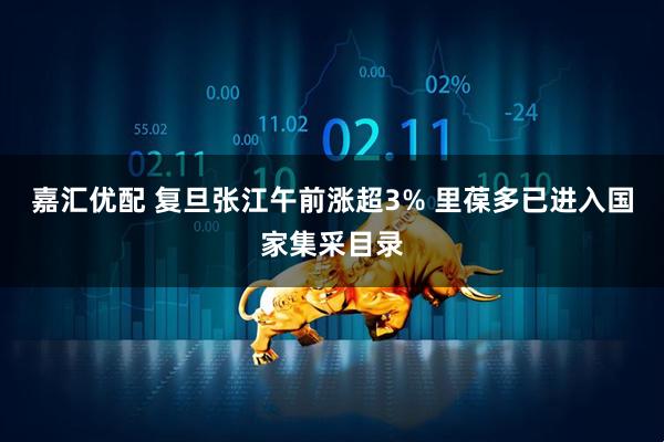嘉汇优配 复旦张江午前涨超3% 里葆多已进入国家集采目录