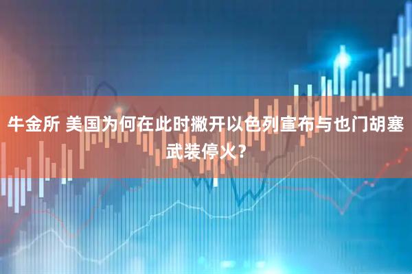 牛金所 美国为何在此时撇开以色列宣布与也门胡塞武装停火？