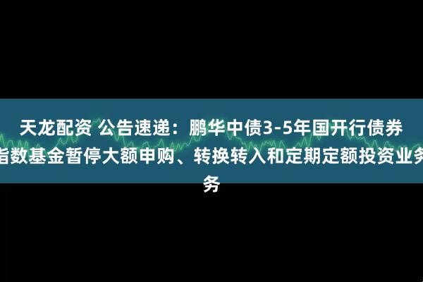 天龙配资 公告速递：鹏华中债3-5年国开行债券指数基金暂停大额申购、转换转入和定期定额投资业务