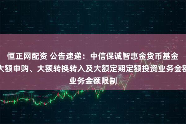 恒正网配资 公告速递：中信保诚智惠金货币基金调整大额申购、大额转换转入及大额定期定额投资业务金额限制
