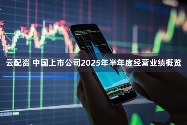 云配资 中国上市公司2025年半年度经营业绩概览