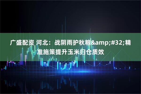 广盛配资 河北:战阴雨护秋粮 精准施策提升玉米归仓质效