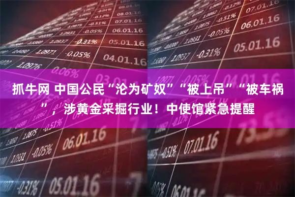 抓牛网 中国公民“沦为矿奴”“被上吊”“被车祸”，涉黄金采掘行业！中使馆紧急提醒