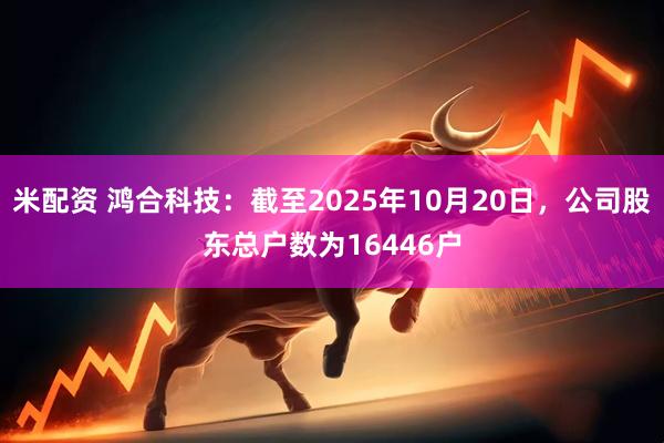 米配资 鸿合科技：截至2025年10月20日，公司股东总户数为16446户